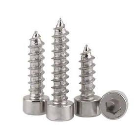 Socket Head Self-tapping Screws A2 18-8 Stainless Sound Speaker Screw M2M3M4M5M6