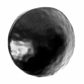 CL9BP ACORN MANUFACTURING Round Clavos