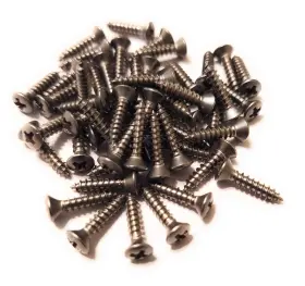 50SSPGS AXEGRINDERZ Pickguard Backplate Screws Steel Phillips