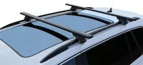 BL31255-05 BRIGHTLINES Wing Crossbars Roof