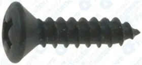 2947698 CLIPSANDFASTENERS Phillips Head Tapping Screws