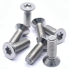 BB05300001 DGZ STORE Steel Countersunk Head Torx Screws Th