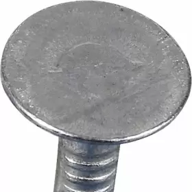REG114-50 FAS-N-TITE Electro Galvanized Roofing Nails Box #2