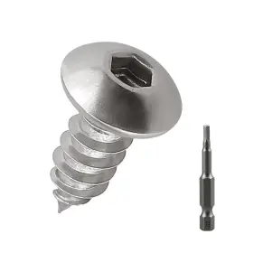 01BT0201-100 FAYEPLOO Head Socket Cap Sheet Screws