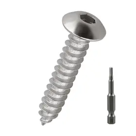 01BT0207-100 FAYEPLOO Head Socket Cap Sheet Screws