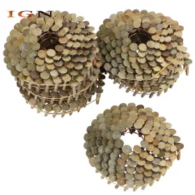 IGN2047832 GENRICS Inclined Coil Round Head Roof Nails Pack #3