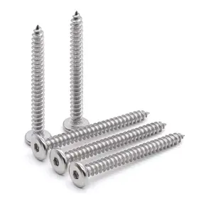 GVN68021-60 GLVANER Round Socket Head Tapping Screws Stainles