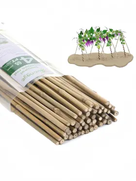 GYSS0010 GUANGYE Plant Post Garden Stakes Tomato