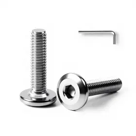 SIVLDBLJ11 HEXPHANT Pack Flat Head Hex Socket Cap Screws
