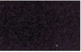 AC301-5 INSTALL BAY Auto Carpet