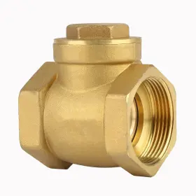 JECTSE0V829XP4NK JECTSE Check Valve Bsp Swing Fem