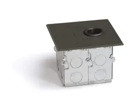 RCFB-1-DB LEW ELECTRIC Concealed Plug Recessed Recess Floor