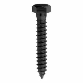 N800-022 NATIONAL HARDWARE Lag Screws Pack