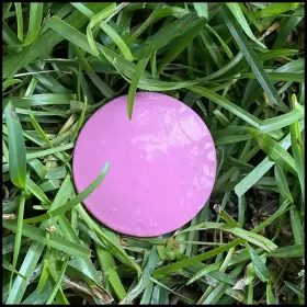 860007343605 PEPPERFISH Surveyor Stake Property Marker Pink #2
