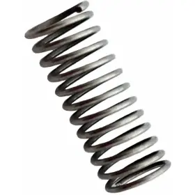 TC3QZNS REED Nut Spring