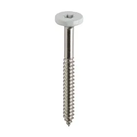 TLOCFAS100I TIMBERTECH Toploc Fascia Fastener Screws #2