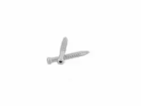 TH7X318W-1 WOODPRO Head Wood Construction Screws Net Wt
