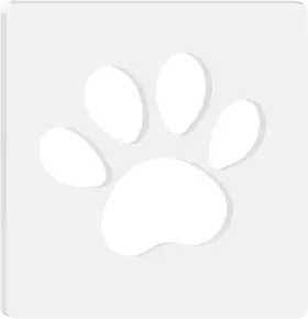 HH-YKLCBMB003 WOOPSOO Dog Paw Router Templates Charcuterie