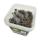 Trex&reg; Decking Color Match Screws 2-1/2" Lava Rock - 1400 count/bucket
