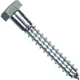 Hillman 5/16 In. x 3 In. Zinc Hex Lag Screw (100-Count) 230057 HILLMAN The