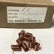 Copper Spring Lot Made for GE 106C2469-15 Vintage 10 Springs 10x7mm