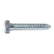 5/16" x 2" Zinc Plated Grade 2 / A307 Steel Hex Head Lag Screws
