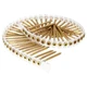 Senco 08F250Y Square Drive Coarse Thread Flat Head Wood Screw # 8 x 2-1/2 in.