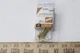 (6-Pk) National Hardware Leveling Hanger Brass Finish N260-174