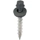 Acorn International SW-MW15CG250 Screw, High-Low, Twin Lead Thread, Hex Drive, C