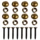 8Pcs Brass Decorative Mirror Screws with Caps