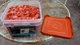 1" Plastic Cap Nails 1" Round Ring  OPEN BOX SOME MISSING Grip Rite
