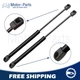 2Pcs Front Hood Lift Supports Shock Struts for Infiniti FX35 FX45 2003-2008 SUV