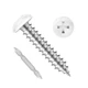 Etauwe 100 PCS #8 x 1 Pan Head Self Tapping Screws, White Head Wood Screw, 30...