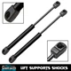 Qty 2 Front Hood Lift Supports Struts Shocks Fits 2003-2008 Infiniti FX35 FX45