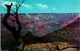 Grand Canyon National Park AZ Postcard Unused (24036)