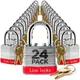 Lion Locks 24 Keyed-Alike Padlocks w/ 1.25&rdquo; Shackle, 48 Keys, Pack of 24 