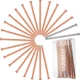 Frienda 3.5 Inch Copper Nails 20 Pack for Killing Tree, Long Stump Removal Spike