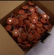 Grip-Rite Round Cap Roofing Nails Plastic 1" 550 pcs