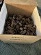 TimberTech CONCEALoc, Hidden Fasteners