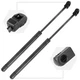 For 03-08 Infiniti FX35 2x Hood Charged Gas Lift Supports Struts PM1059 SG371003