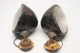 Pair of Vintage Car Truck Tractor Custom Accessory Lights Lamps Rat Rod Parts 6"