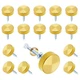 Coufce 20 PCS Screw Covers Caps, 16mm/0.64" 16mm (Length not specified), Gold 