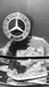 MERCEDES BENZ Hood Ornament for E320 E420 S500 OEM