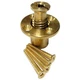 GLI Safety Cover Wood Deck Brass Anchor w/ 4 Screws 99-20-9100046