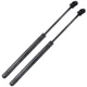 Pair Hood Lift Supports Shocks Gas Springs For 2003-2008 FX35 FX45