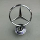 Mercedes Benz C E S Class Series Front Hood Ornament Emblem Badge Logo OEM
