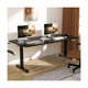 Veken 63 Inch Electric Standing Desk, Adjustable Height Office Desk with Wood...