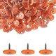 250 Pack - Round Plastic Cap Nail 1 Inch Roofing Nails Galvanized Tar Paper N...