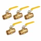 Midline Valve Premium Brass FIP x FIP Full Port Ball Valve Drain 1 in. (5 Pack)