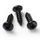 BNUOK #8 x 5/8 Inch Pan Head Wood Screws, Phillips Drive, x 5/8", Black